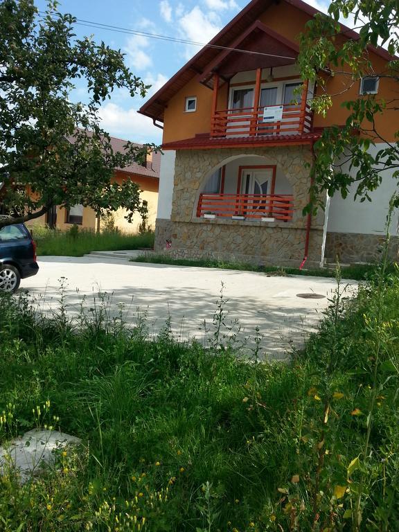 Pensiunea Agroturistica Ioana Brăduleţ エクステリア 写真