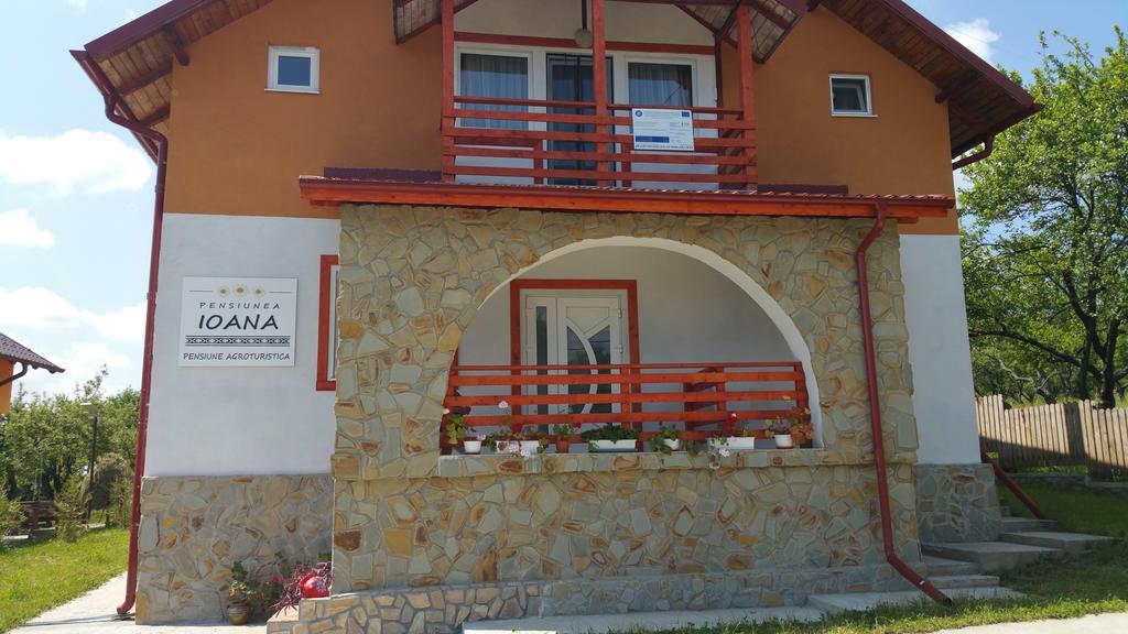 Pensiunea Agroturistica Ioana Brăduleţ エクステリア 写真