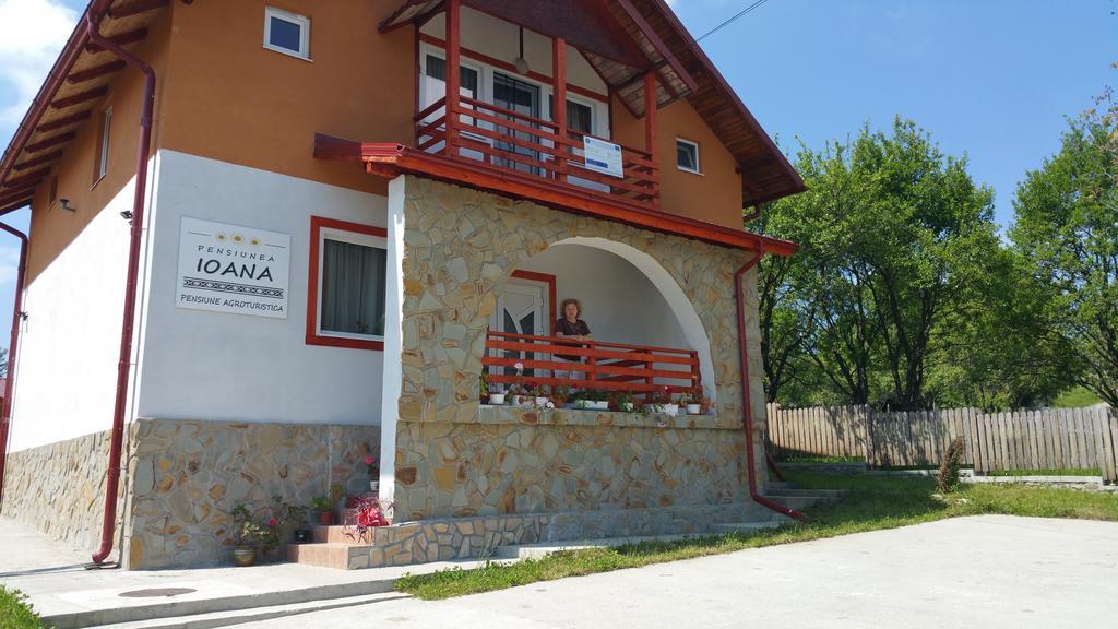 Pensiunea Agroturistica Ioana Brăduleţ エクステリア 写真