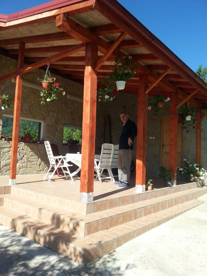 Pensiunea Agroturistica Ioana Brăduleţ エクステリア 写真
